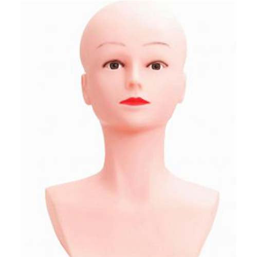 Bald mannequin head with shoulders display mannequin head model