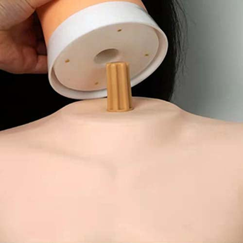 Head model bracket Head model shoulder bag bracket Head model shoulder bracket