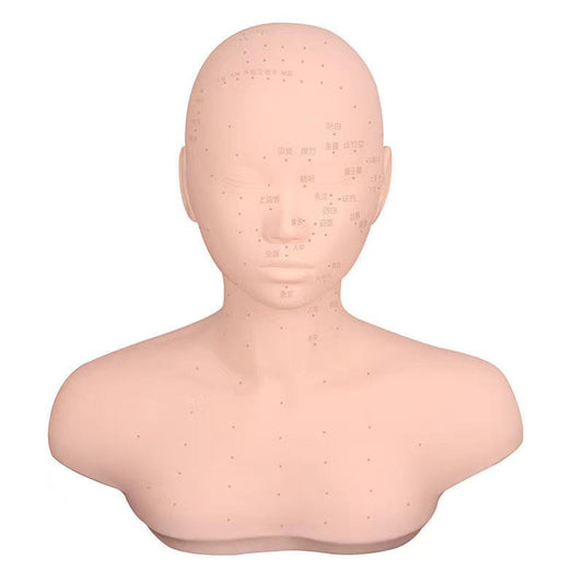 Beauty model headband shoulder dummy head mold massage acupoint head mold