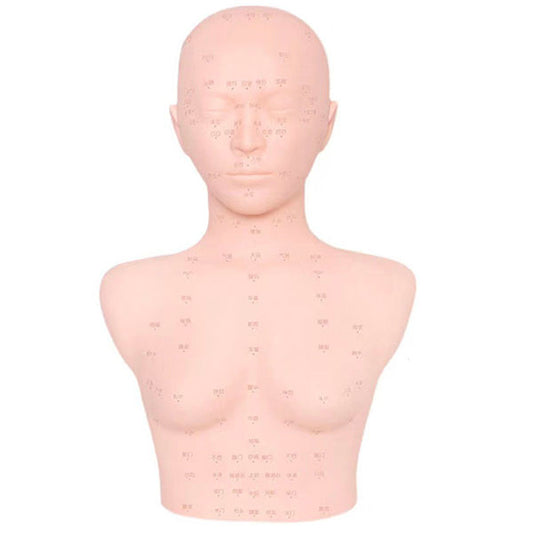 Skin care mannequin head beauty salon with shoulders mannequin head mold
