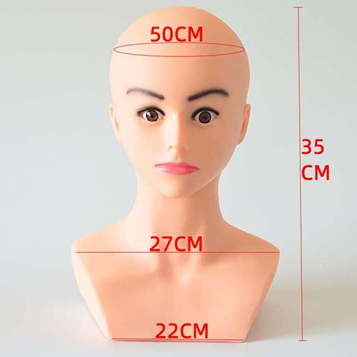 Bald mannequin head with shoulders display mannequin head model
