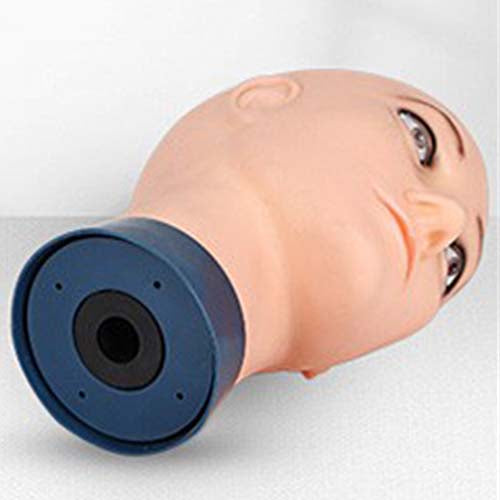 Male Bald Wig Mannequin Head Dummy Head Model Hair Salon Decoration